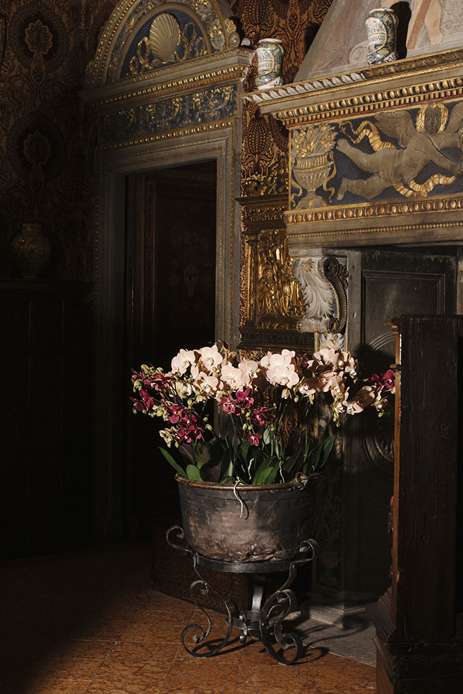 Museo Bagatti Valsecchi - Orticola 2022 - Pastor Flowers