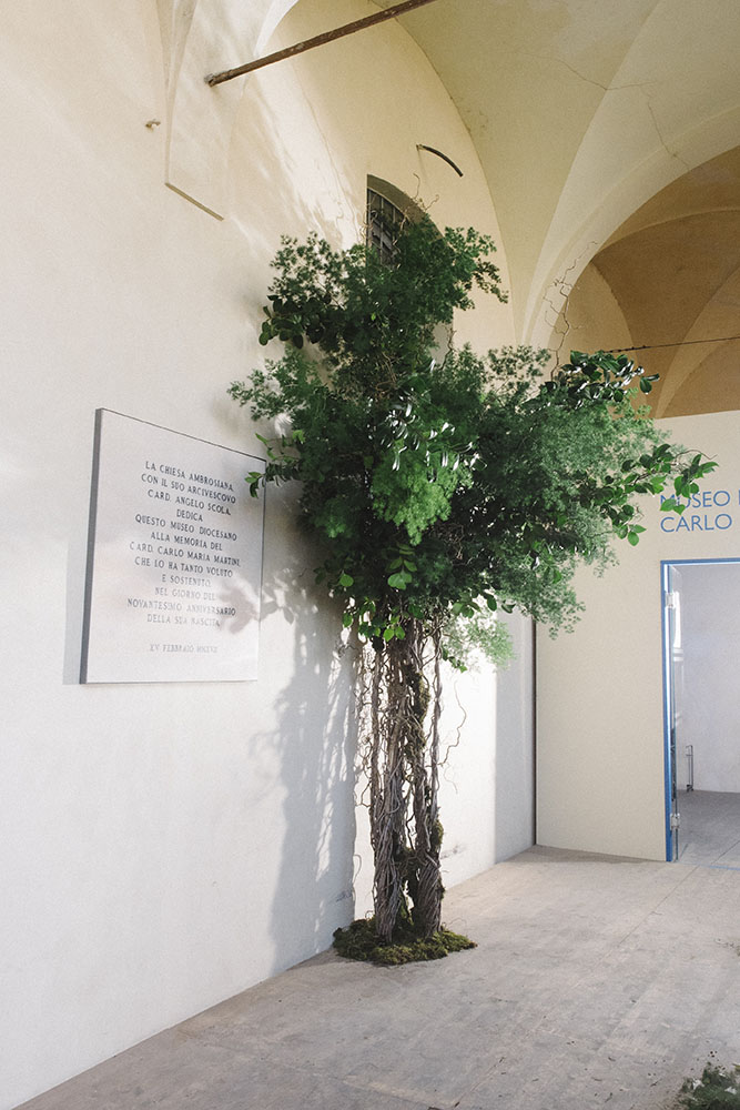 Museo Diocesano di Milano - Orticola 2022 - Pastor Flowers